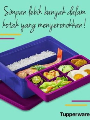 Fun Kepper Tupperware food storage container new