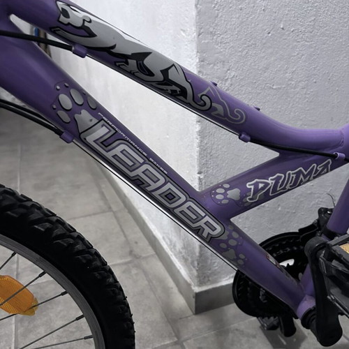 Performance Bike Leader Puma Mountain Bike 20 Inch women's used