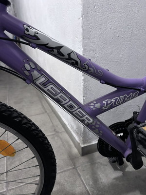 Performance Bike Leader Puma Mountain Bike 20 Inch women's used