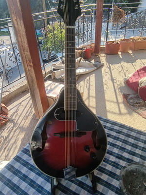 Μαντολίνο like new, Tenson πλακέ σώμα, με θήκη και ενσωματωμένο μαγνήτη