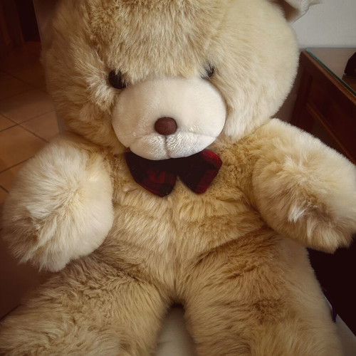 Beige plush teddy bear 60cm
