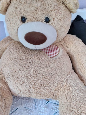 Teddy bear plush like new