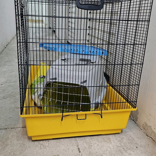 Cage for chinchillas, rabbits and hamsters used