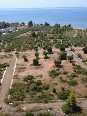Οικόπεδο γωνιακό 614 τ.μ. στη Γερακινή Χαλκιδικής