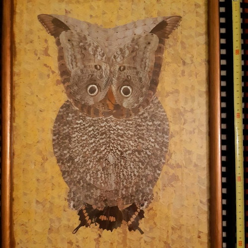 Collage painting used with owl made of butterfly wings 43x33cm