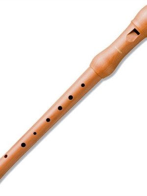 Hohner 9531C soprano recorder, German wood