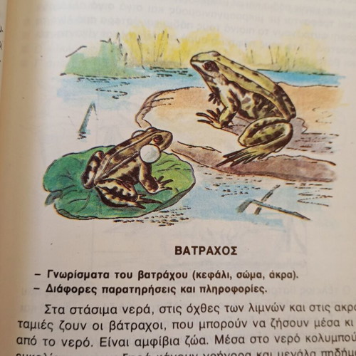 Plants and Animals of Our Homeland 4th Grade Used Textbook
