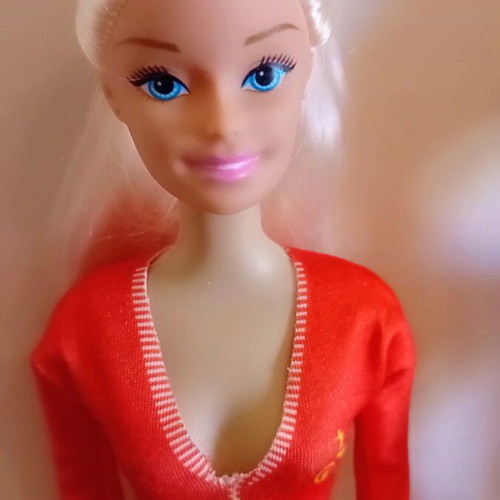 Barbie doll set with articulated cat, floating dog and dress, like new