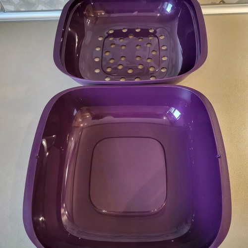 Allegra colander new