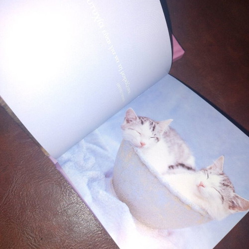 Photographic albums for animals like new, Pantominoi Filoi and Show Me Your Friend