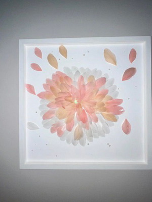3D Feather Art with Pearls new, 50x50 cm, framed