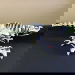  robo-raptor