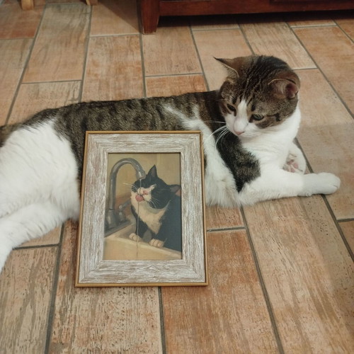 Framed Cat at the Faucet Picture 13x18 cm Vintage Kitchen Decor