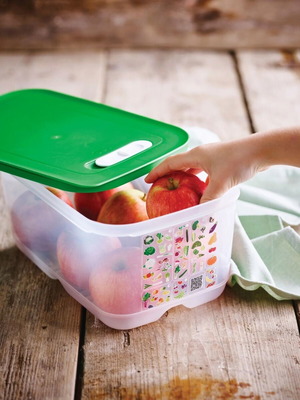 Tupperware smart cooling container 4.4 liters new