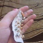 Various earrings new