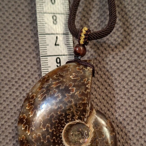 Ammonite pendant necklace, polished, adjustable string, 6cm