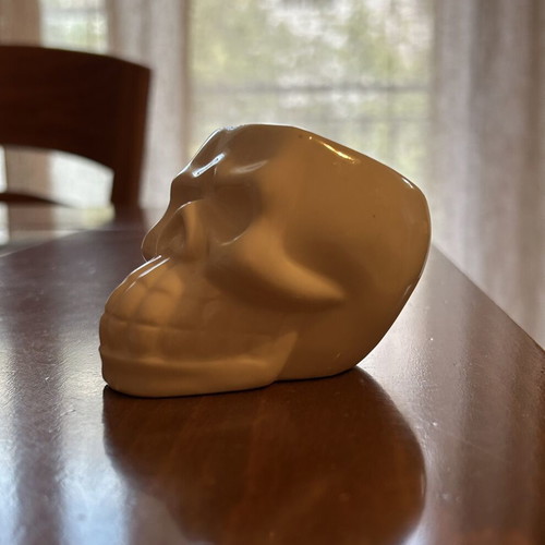 Ceramic Skull Planter like new for small plants