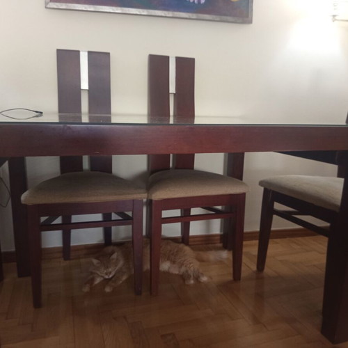 Wooden dining set with six fabric chairs, beige