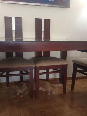 Wooden dining set with six fabric chairs, beige