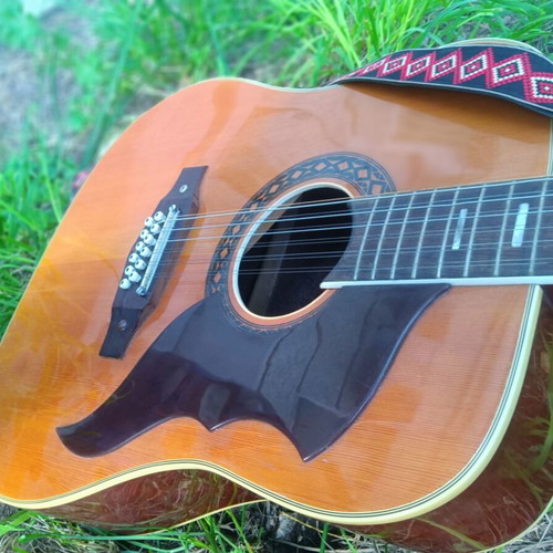 ECO Italia 12-String Guitar like new with decorated strap