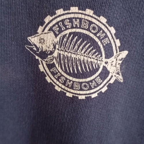 Vintage Fishbone sweatshirt used, size Large, blue with print