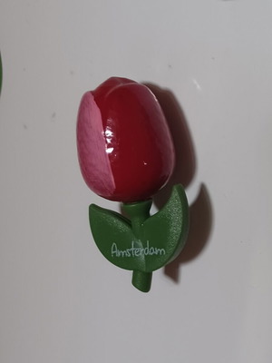 Amsterdam fridge magnet like new, tulip souvenir