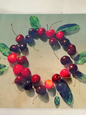 Plasticized placemats used, set of 2 with cherry theme by Michalis Markoulakis