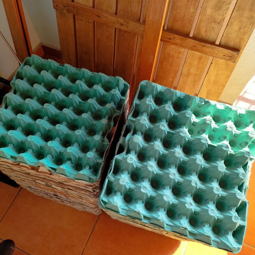 Paper egg tray pack of 110, like new