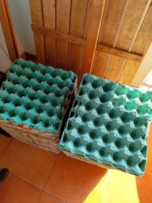 Paper egg tray pack of 110, like new