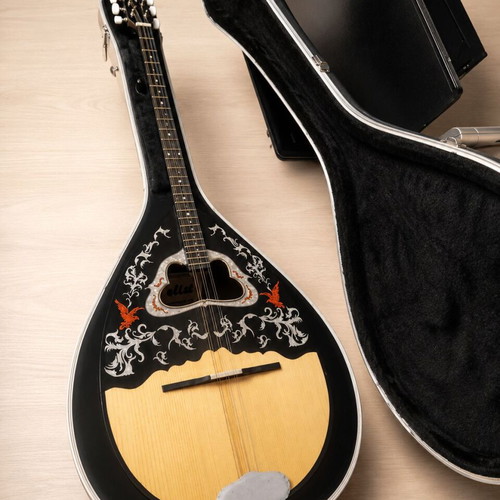 Solist 8-String Tetrachordo Bouzouki with Hard Case, New