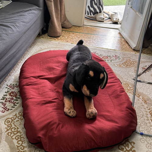 Dog Bed XXL red like new, soft and spacious for large dogs
