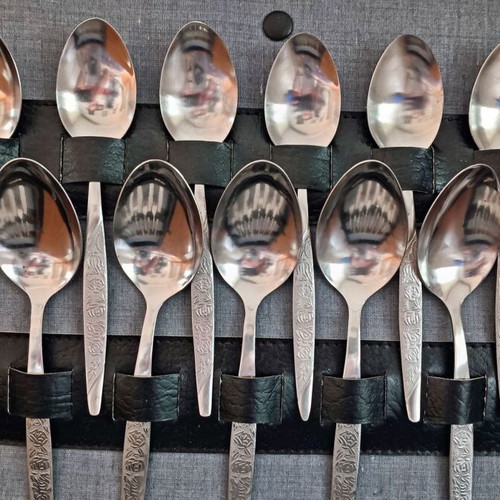 Vintage Russian cutlery set in case, new