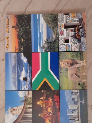 South Africa Safari postcard
