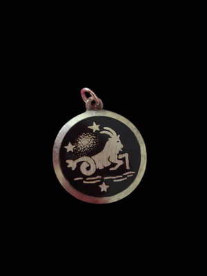 Vintage Capricorn pendant silver 925 used zodiac jewelry