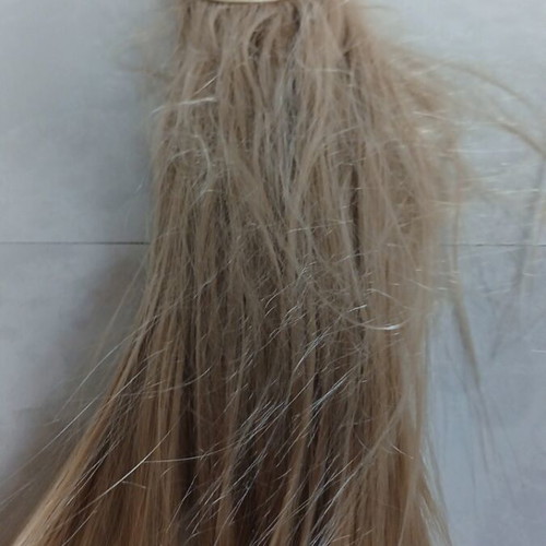 Hair Tress used, four strands