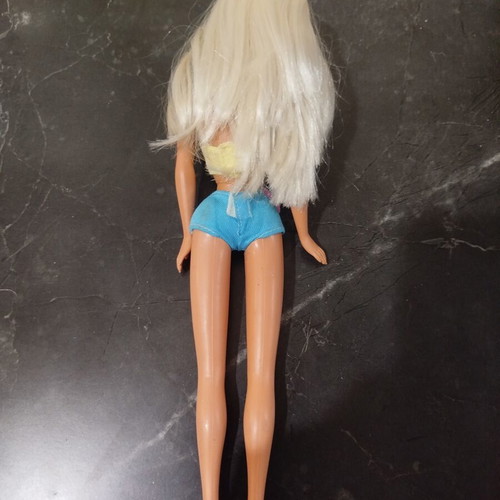 Flower Fantasy Sindy doll used in good condition