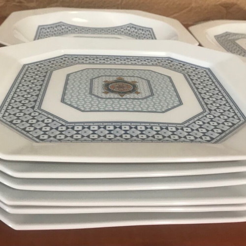 Bernardaud Limoges France Galapagos set like new with porcelain plates and cups