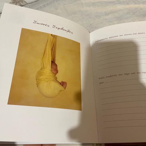 Anne Geddes Pregnancy Diary new