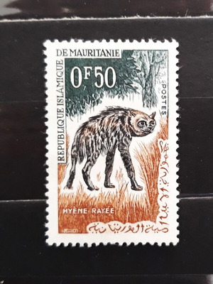 Γραμματόσημο Μαυριτανία 1963 Hyene Rayee νέο