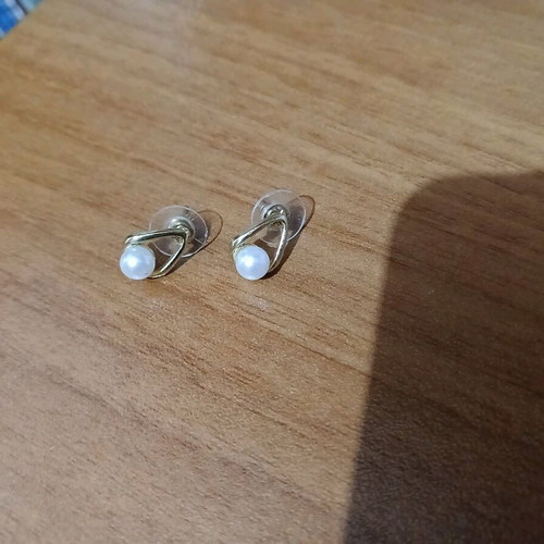 Earrings new, unworn