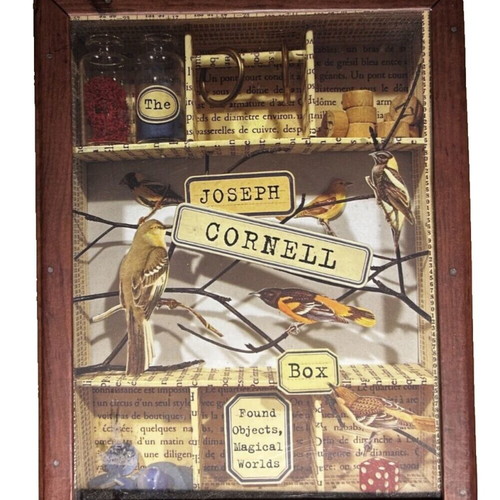 Joseph Cornell Box art book kit unused, collectible