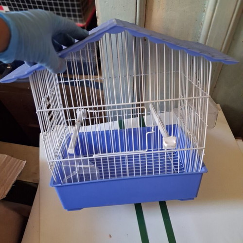 Birdcage for canary or small bird like new, white and blue
