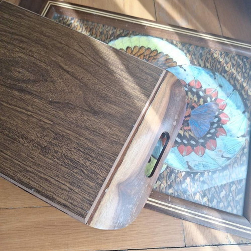 Decorative trays with real butterflies new, 70-year-old heirloom set of 2