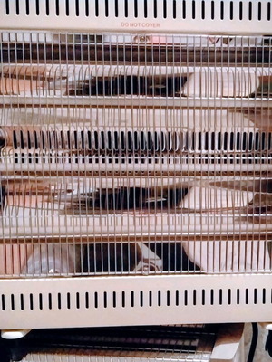 Electric heaters used, 2 pieces, 2400 watt, with three levels