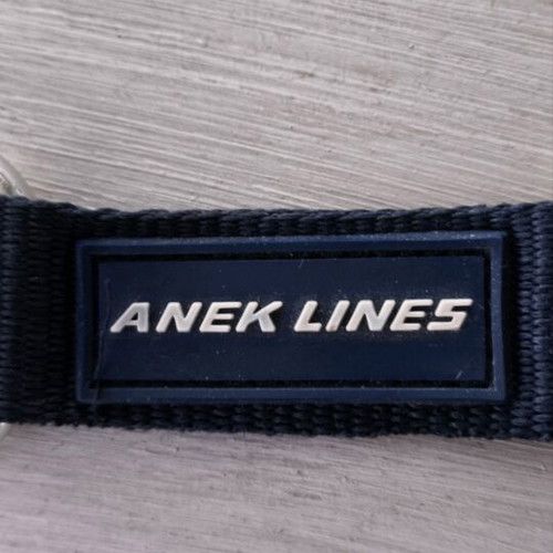 Anek Lines promotional keychain with company logo new