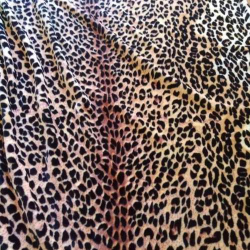 Leopard print double blanket like new