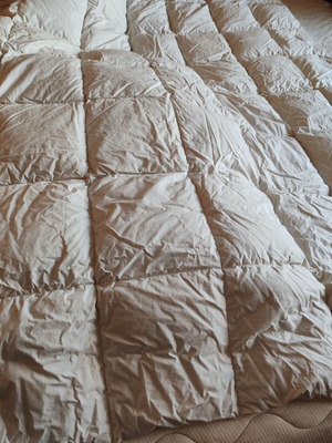 Lightweight goose down quilt 155x200cm