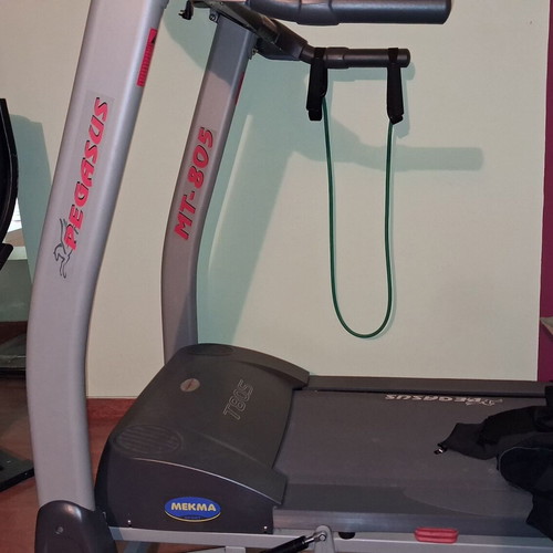 Pegasus T805 treadmill like new