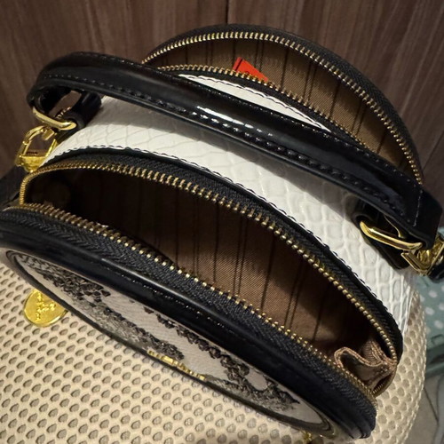 Louie Tinor crossbody bag new
