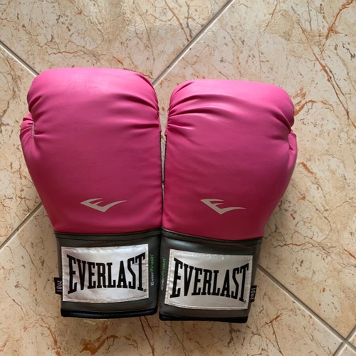 Everlast boxing gloves new